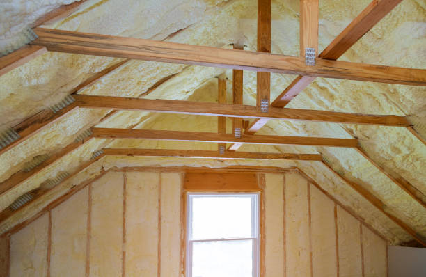 Best Local Insulation Services  in Lena, IL